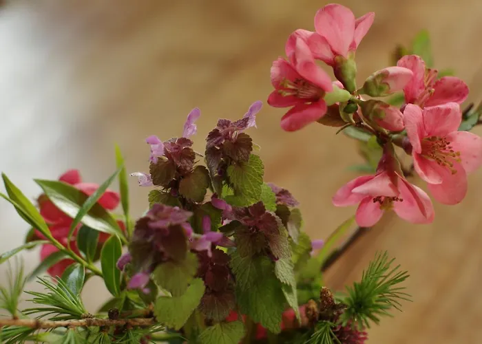 Stuetzpunkt Trebitz - Gaestezimmer Am Europaradweg R1 3*